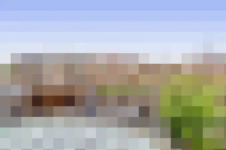 Raaigras 25 Spijkenisse thumbnail 39