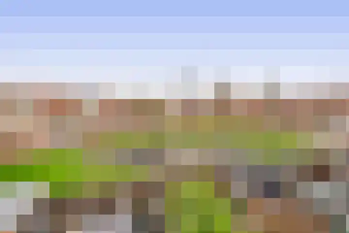 Raaigras 25 Spijkenisse thumbnail 40