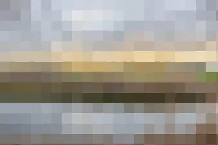 Raaigras 25 Spijkenisse thumbnail 41