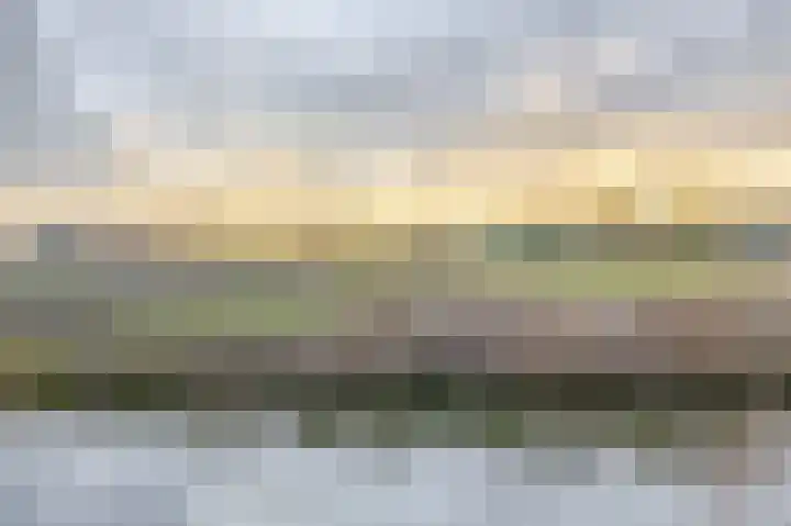 Raaigras 25 Spijkenisse thumbnail 42