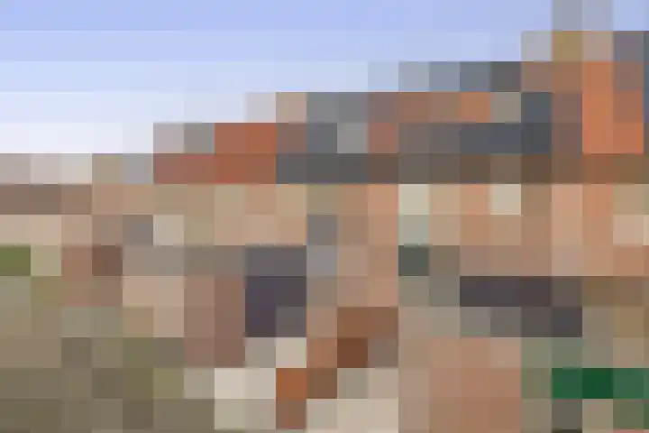 Raaigras 25 Spijkenisse thumbnail 5