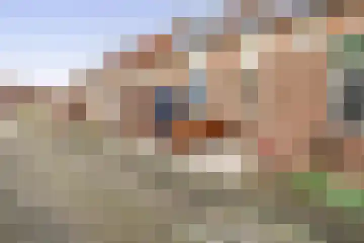 Raaigras 25 Spijkenisse thumbnail 6