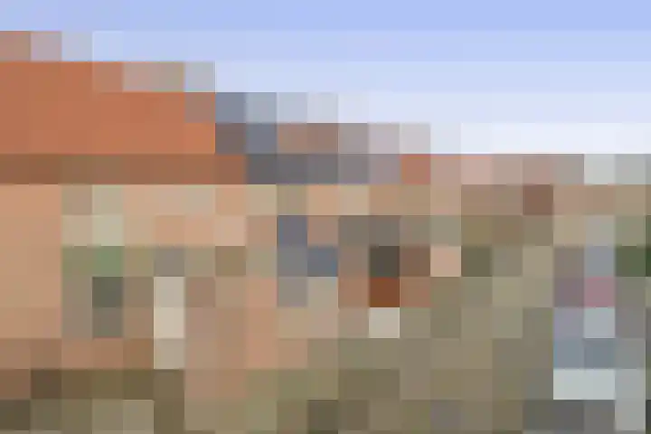Raaigras 25 Spijkenisse thumbnail 7