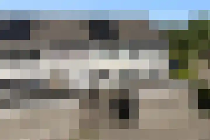 Raaigras 267 Leeuwarden thumbnail 51