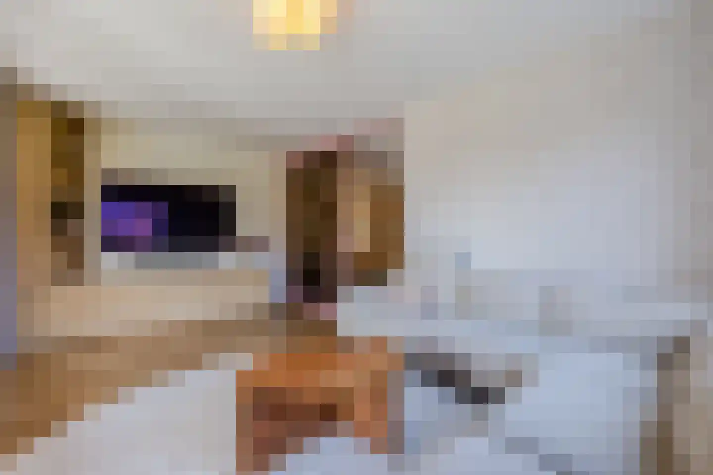 Raaigras 30 Assendelft thumbnail 10