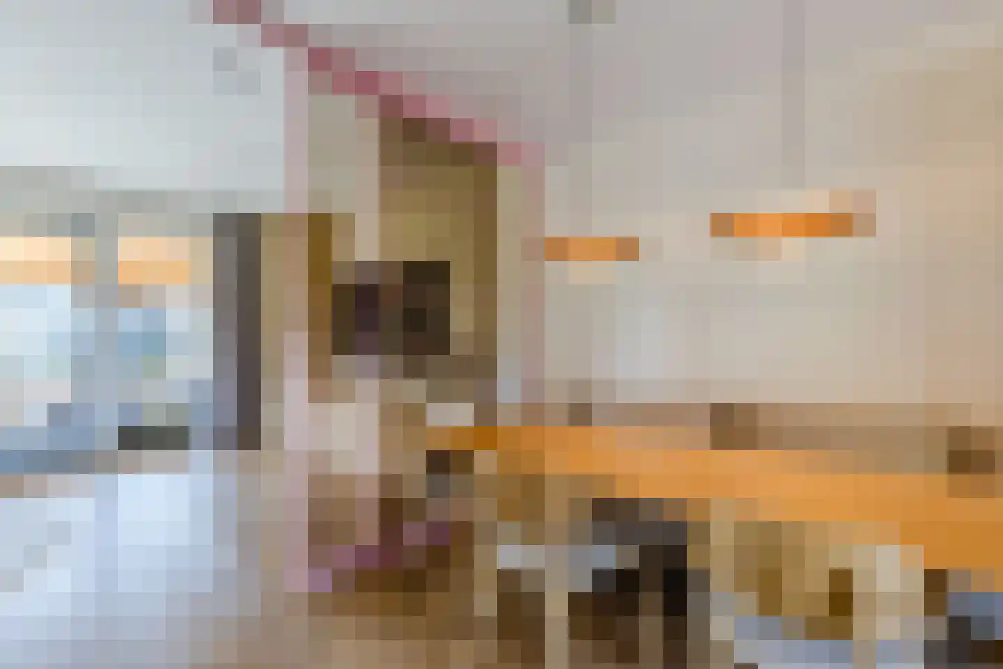 Raaigras 30 Assendelft thumbnail 14