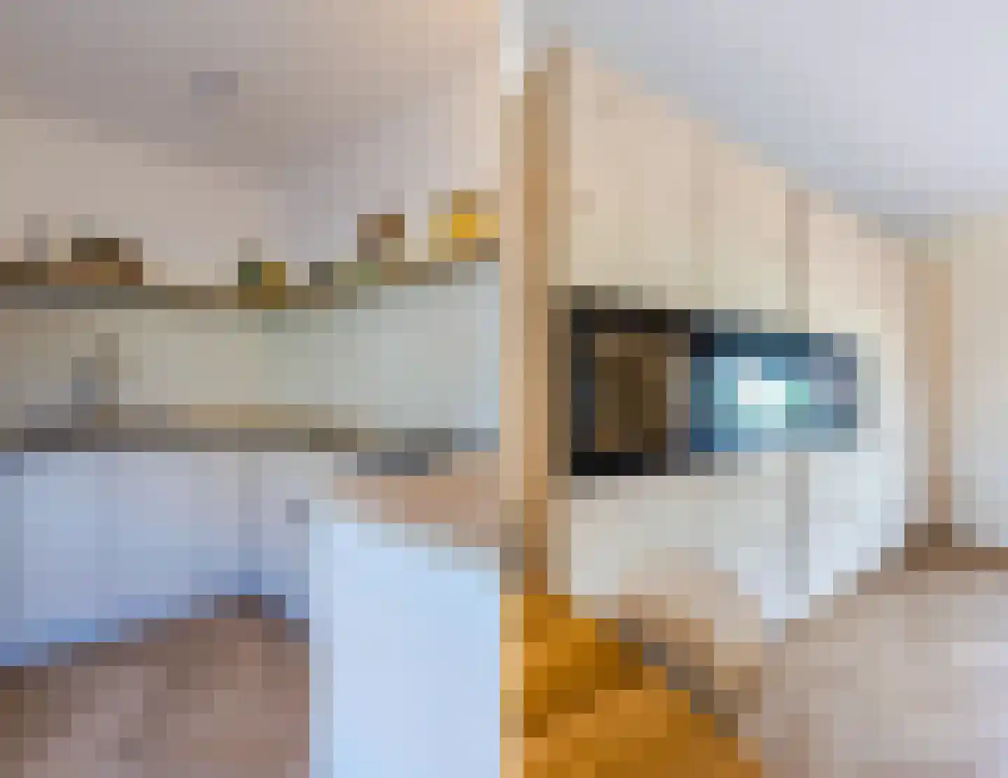 Raaigras 30 Assendelft thumbnail 18
