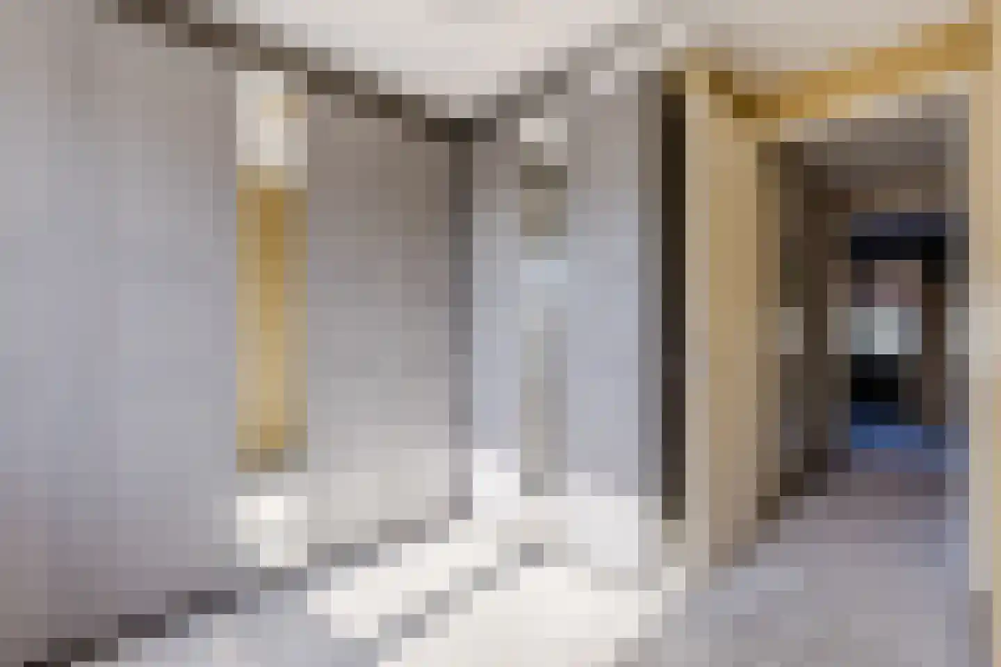 Raaigras 30 Assendelft thumbnail 22