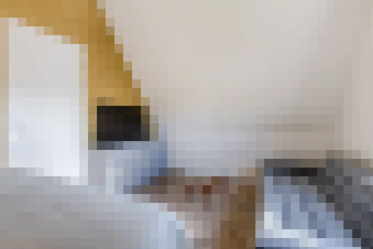 Raaigras 30 Assendelft thumbnail 33