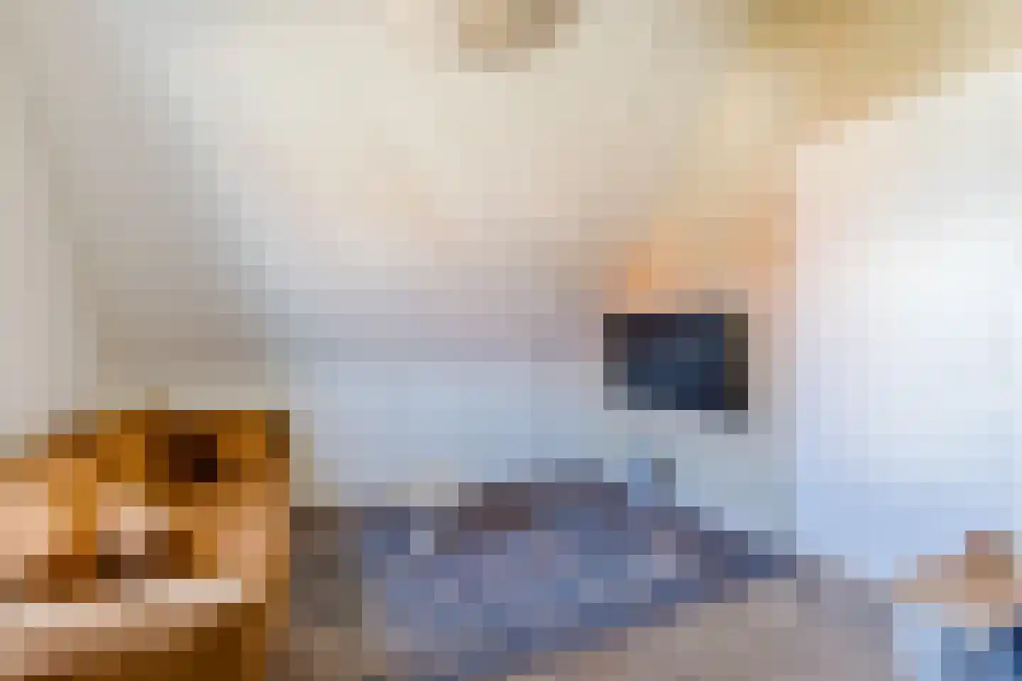 Raaigras 30 Assendelft thumbnail 35