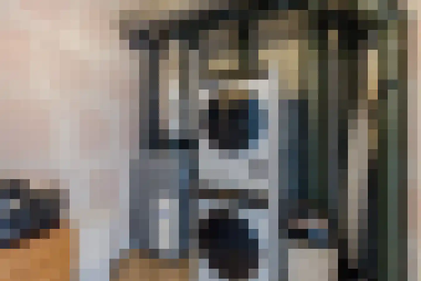 Raaigras 30 Assendelft thumbnail 36