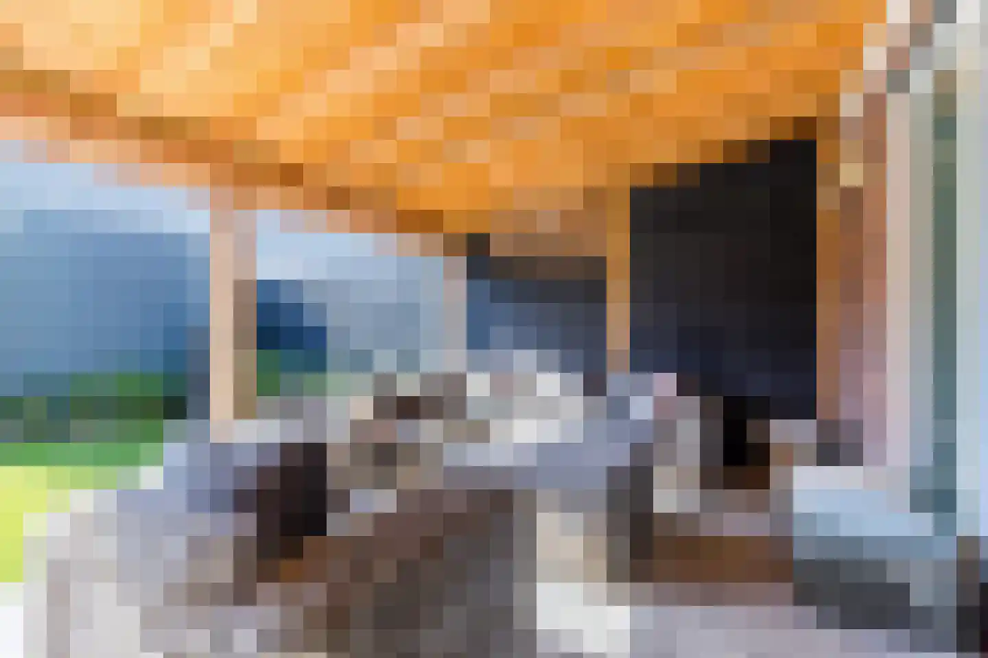 Raaigras 30 Assendelft thumbnail 37