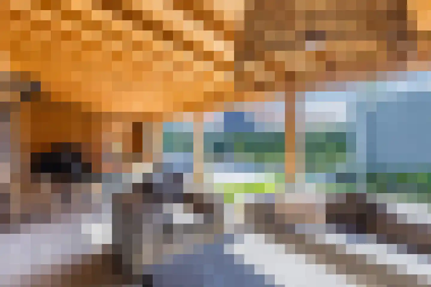 Raaigras 30 Assendelft thumbnail 38