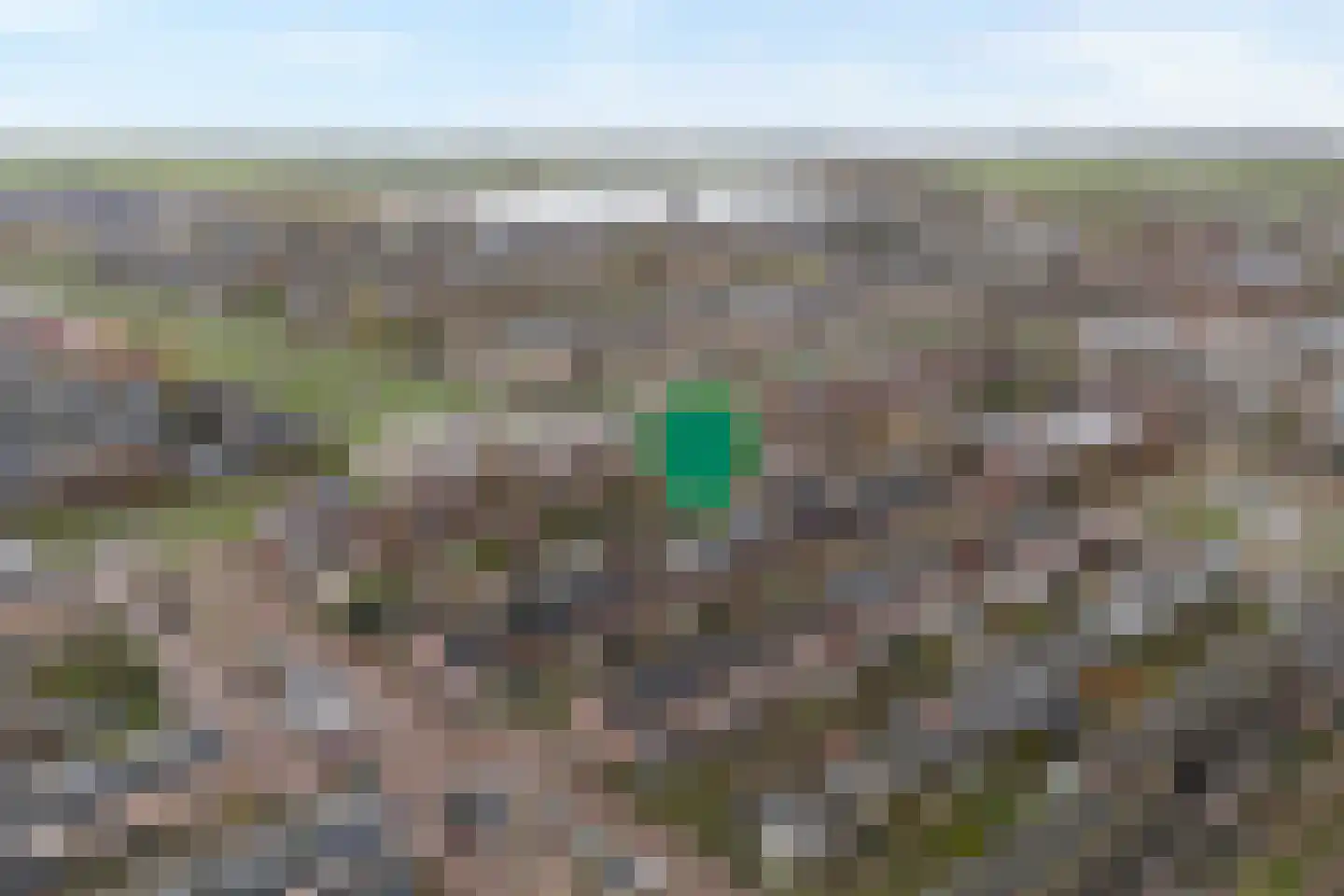 Raaigras 32 Zwolle thumbnail 6