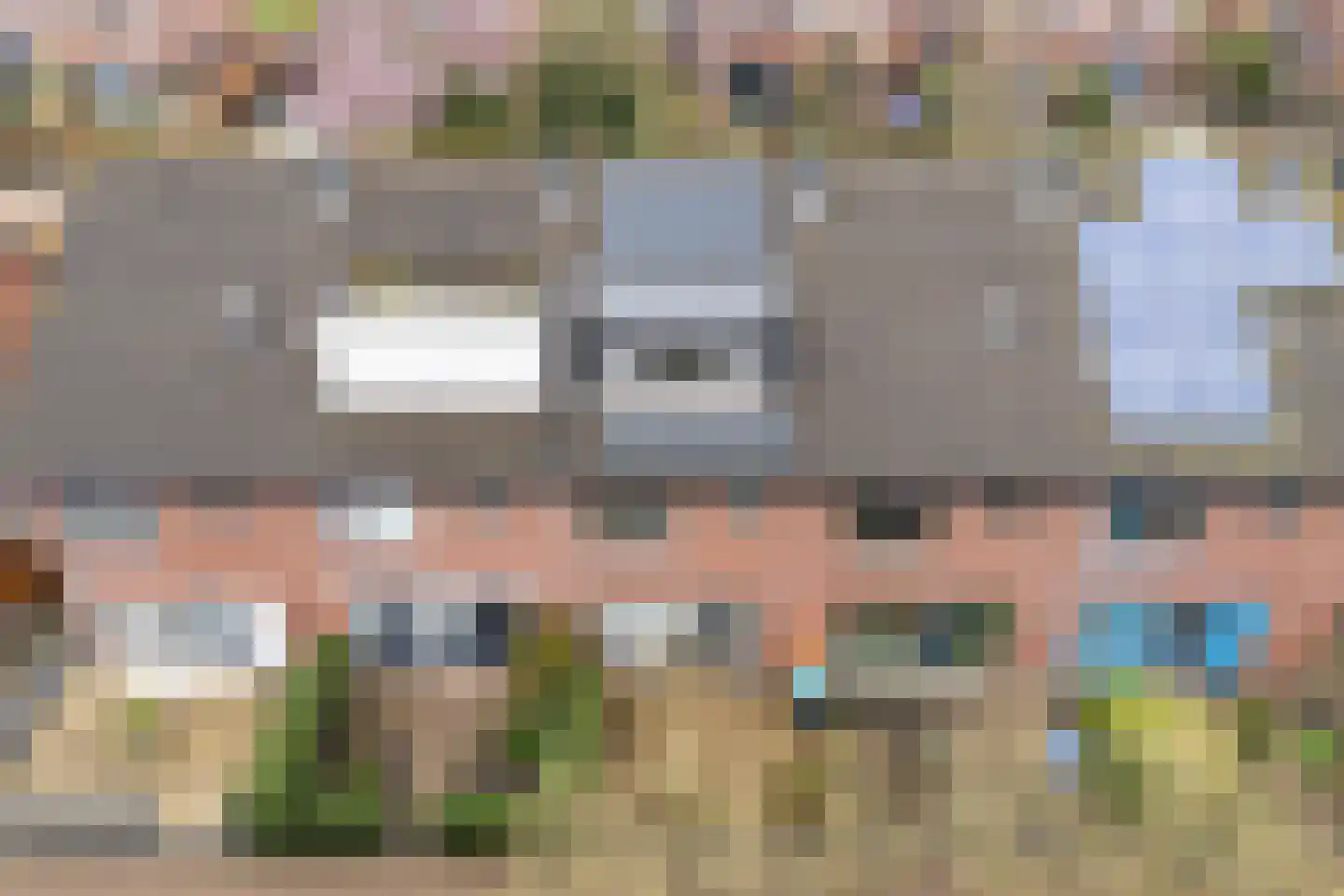 Raaigras 32 Zwolle thumbnail 7