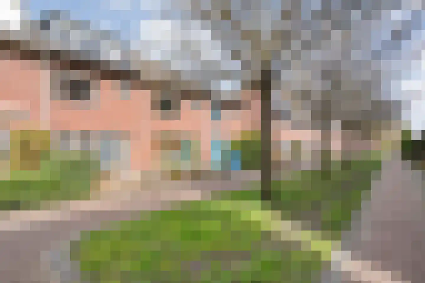 Raaigras 32 Zwolle thumbnail 9