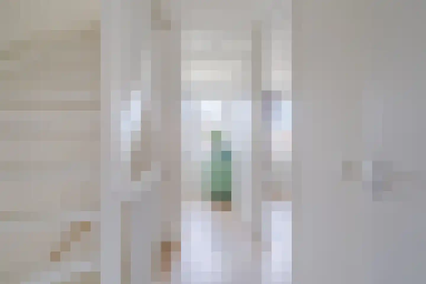 Raaigras 38 Assendelft thumbnail 25