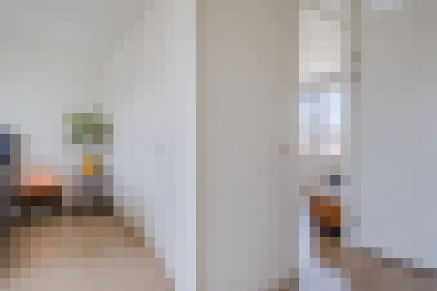 Raaigras 38 Assendelft thumbnail 25