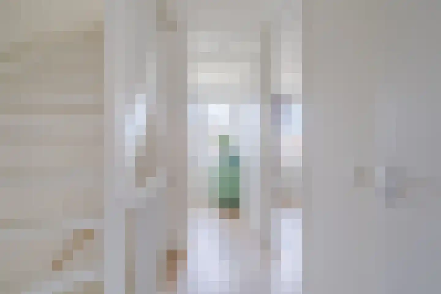 Raaigras 38 Assendelft thumbnail 26