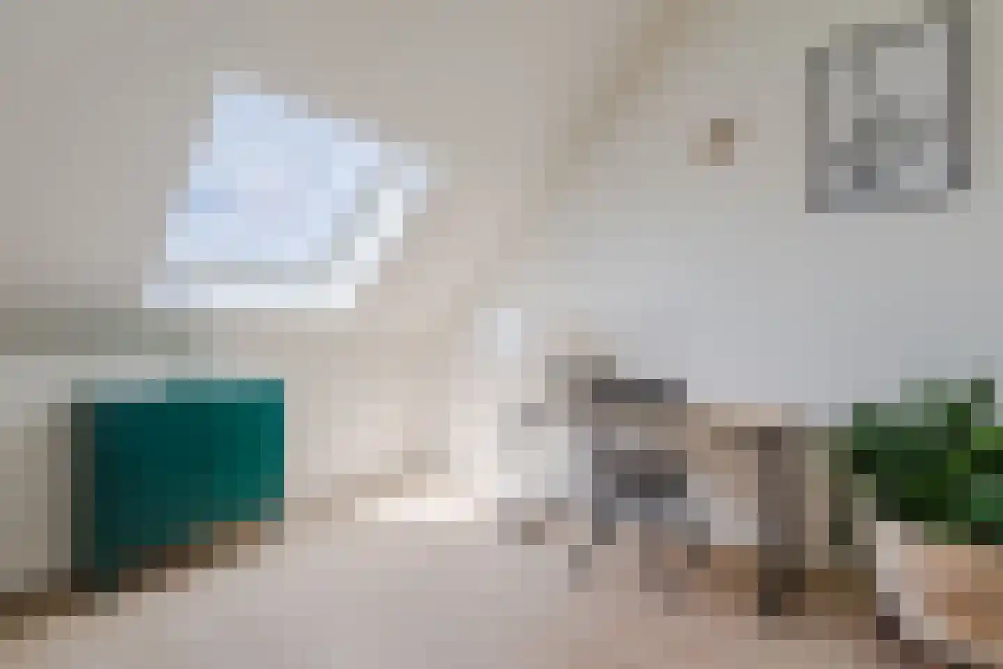 Raaigras 38 Assendelft thumbnail 27