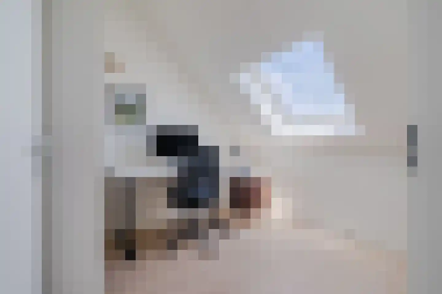 Raaigras 38 Assendelft thumbnail 28