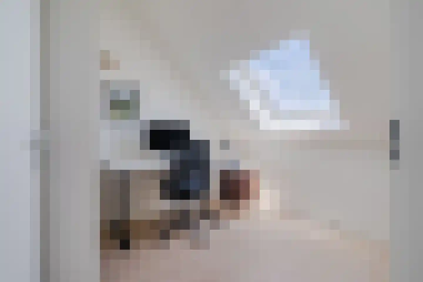Raaigras 38 Assendelft thumbnail 29