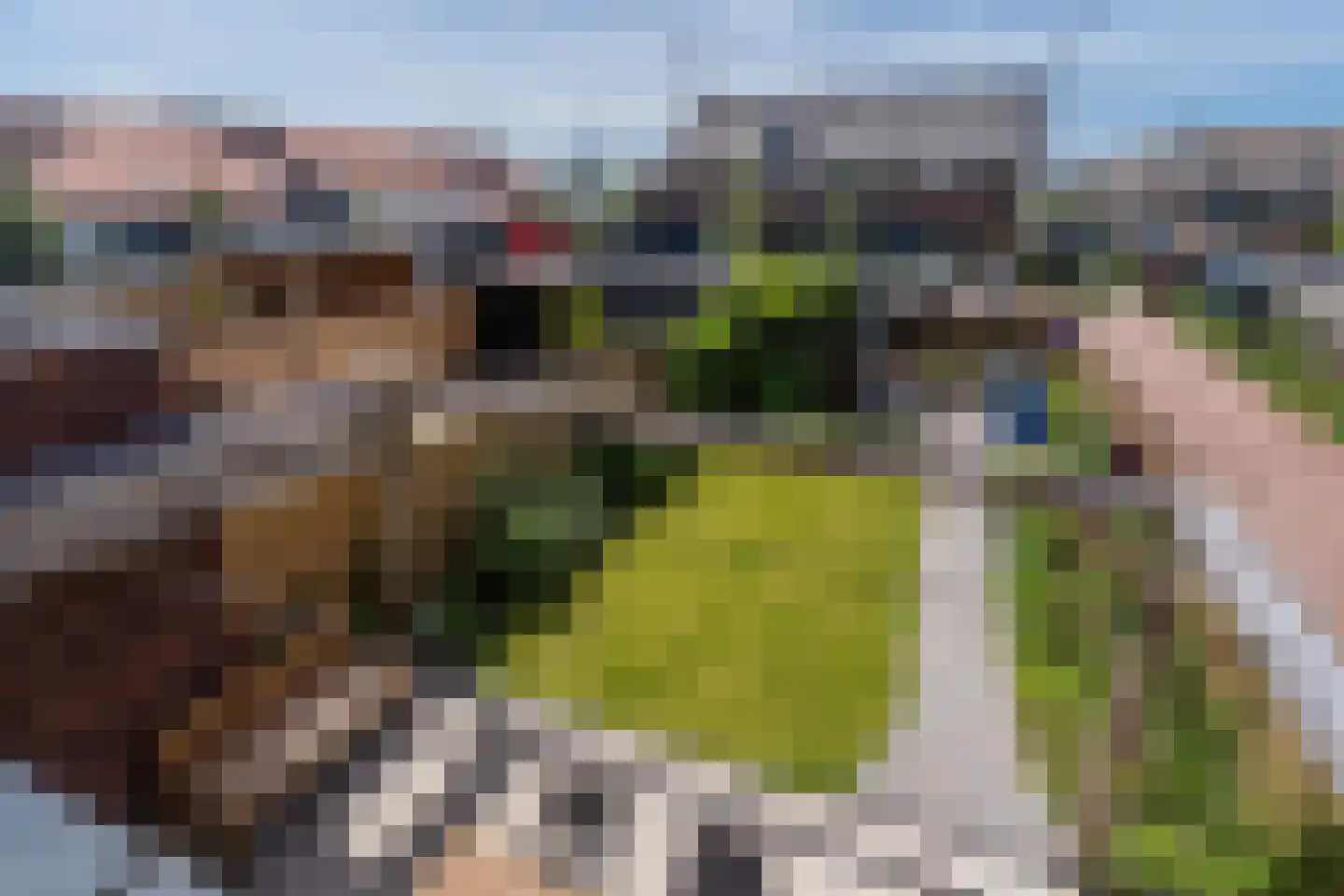 Raaigras 38 Assendelft thumbnail 38