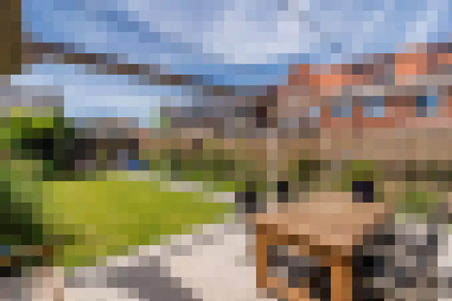 Raaigras 38 Assendelft thumbnail 39