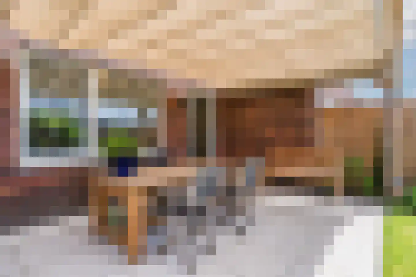 Raaigras 38 Assendelft thumbnail 39