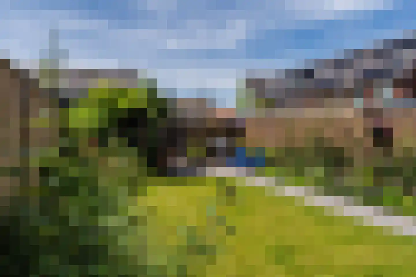 Raaigras 38 Assendelft thumbnail 42