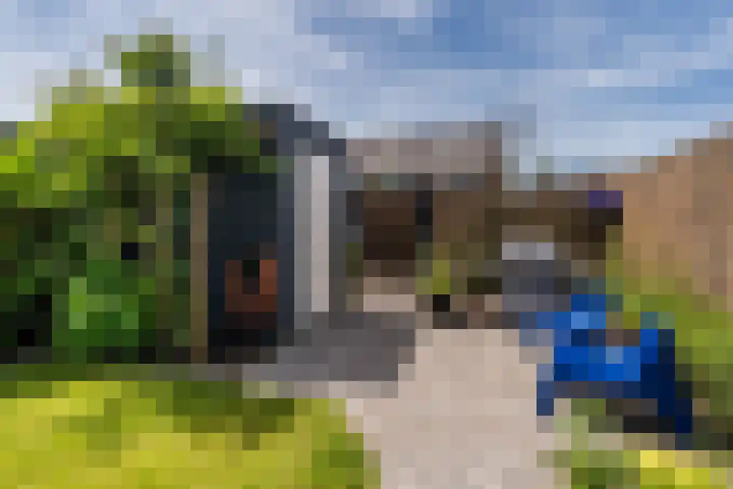 Raaigras 38 Assendelft thumbnail 42