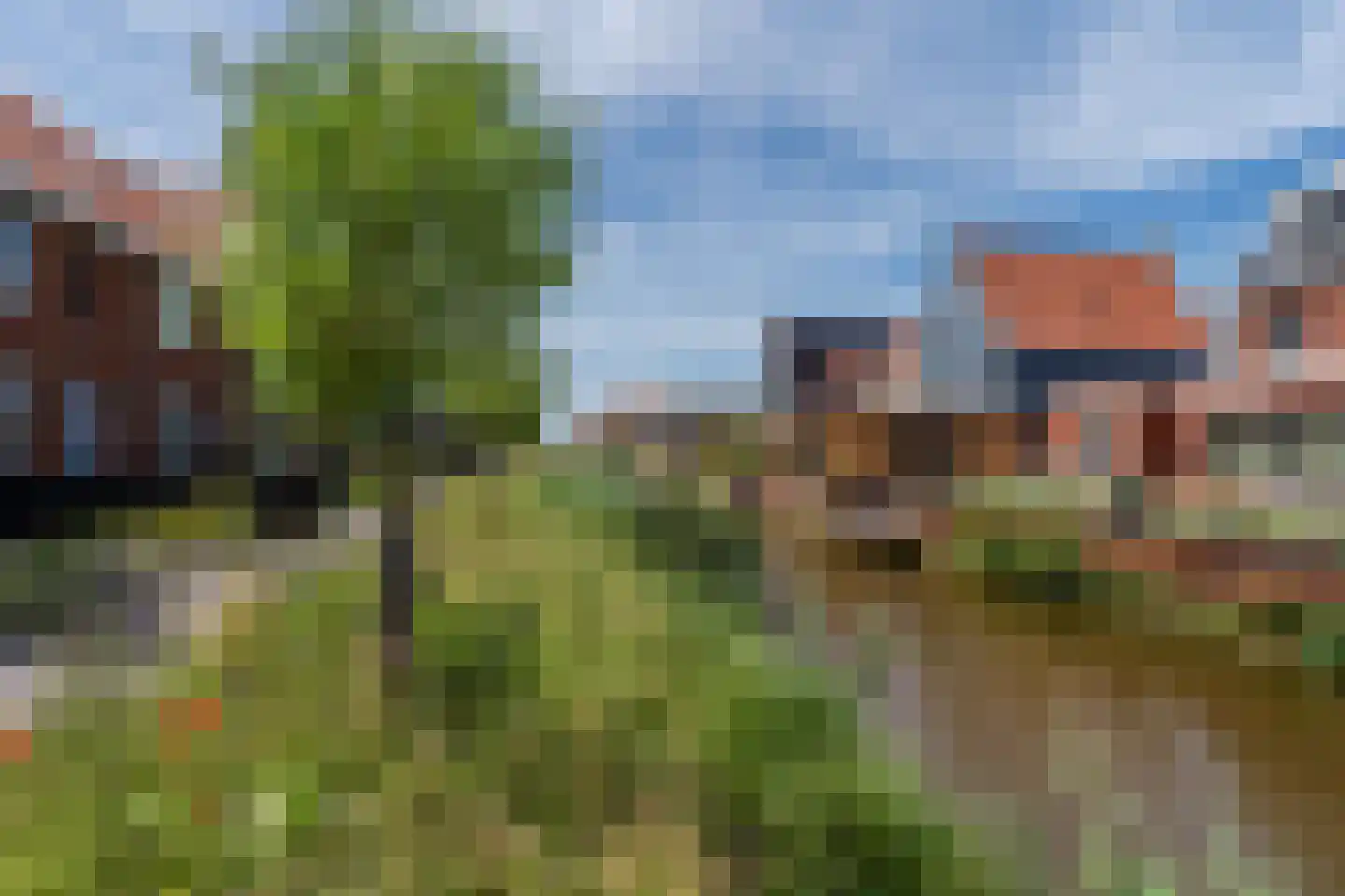 Raaigras 38 Assendelft thumbnail 48