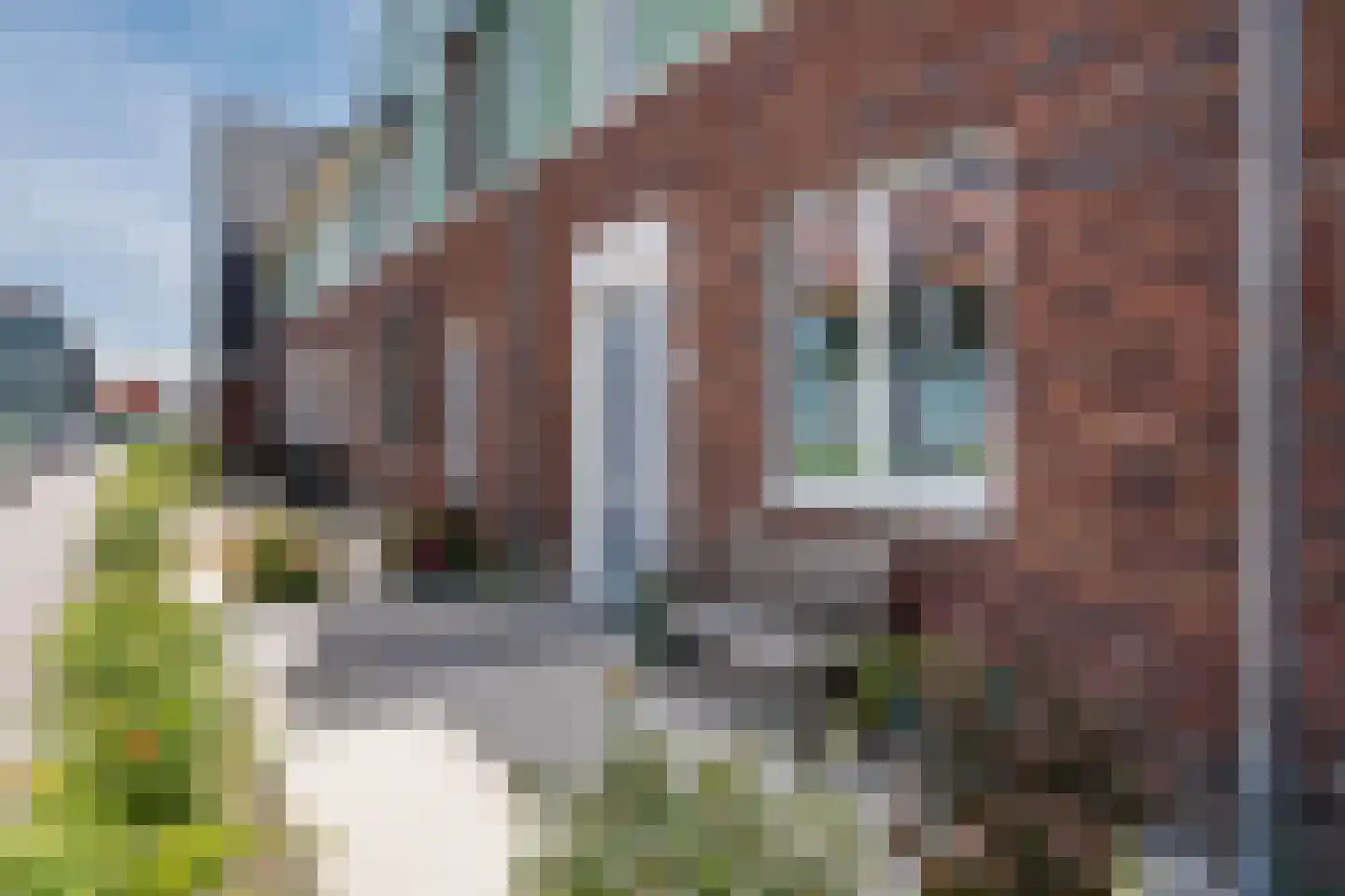 Raaigras 38 Assendelft thumbnail 51