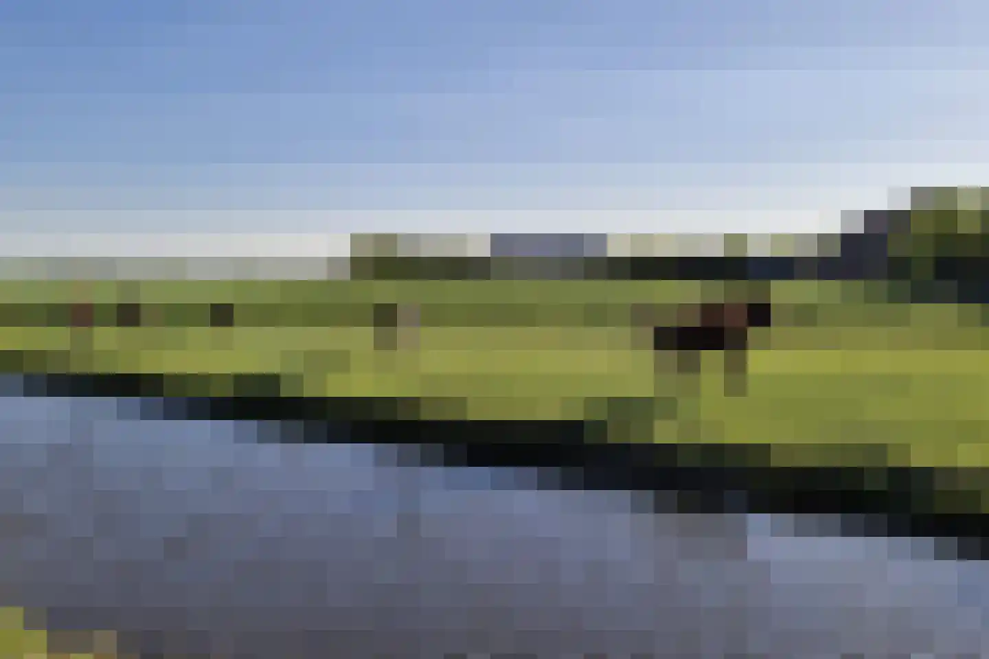 Raaigras 38 Assendelft thumbnail 51