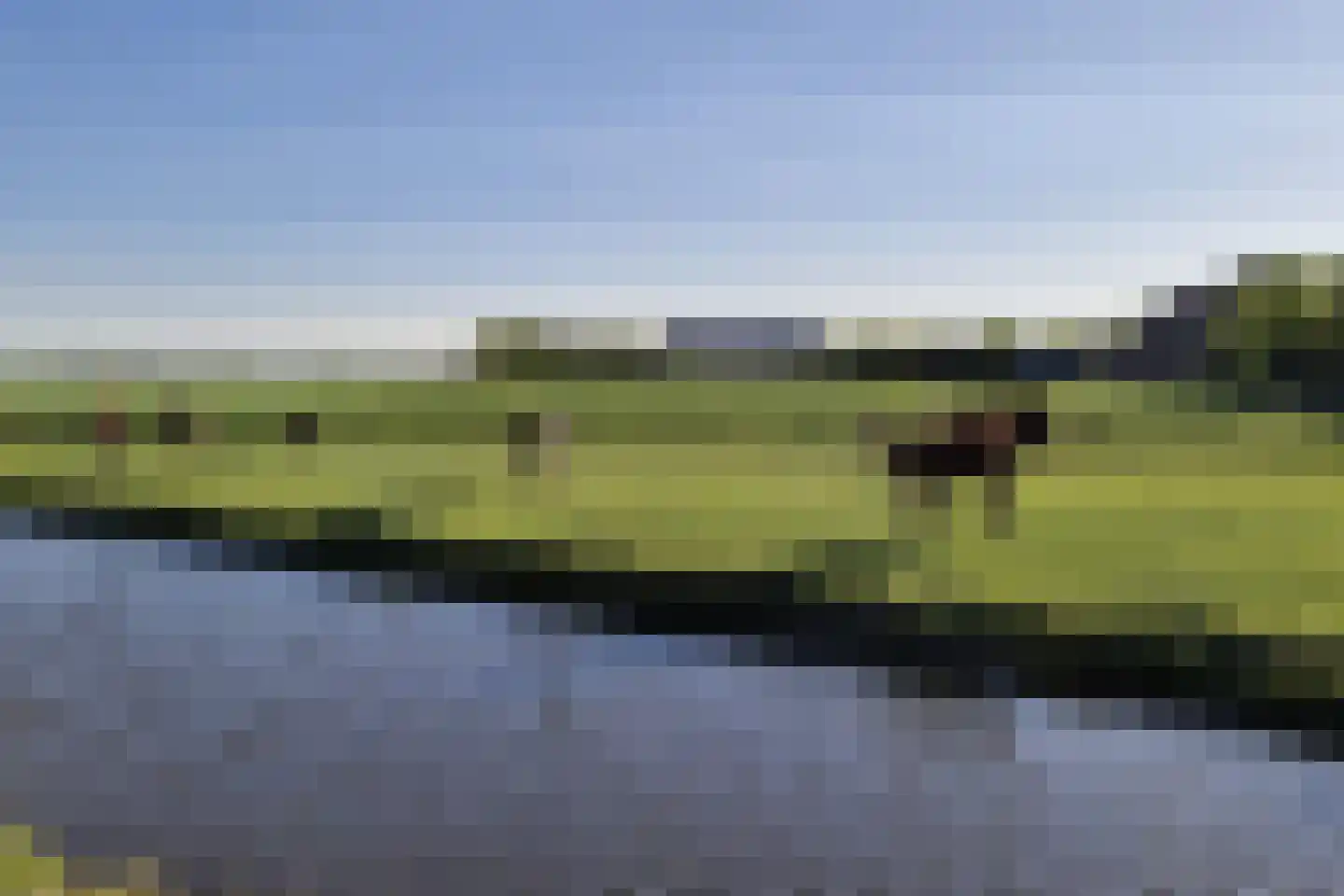 Raaigras 38 Assendelft thumbnail 52