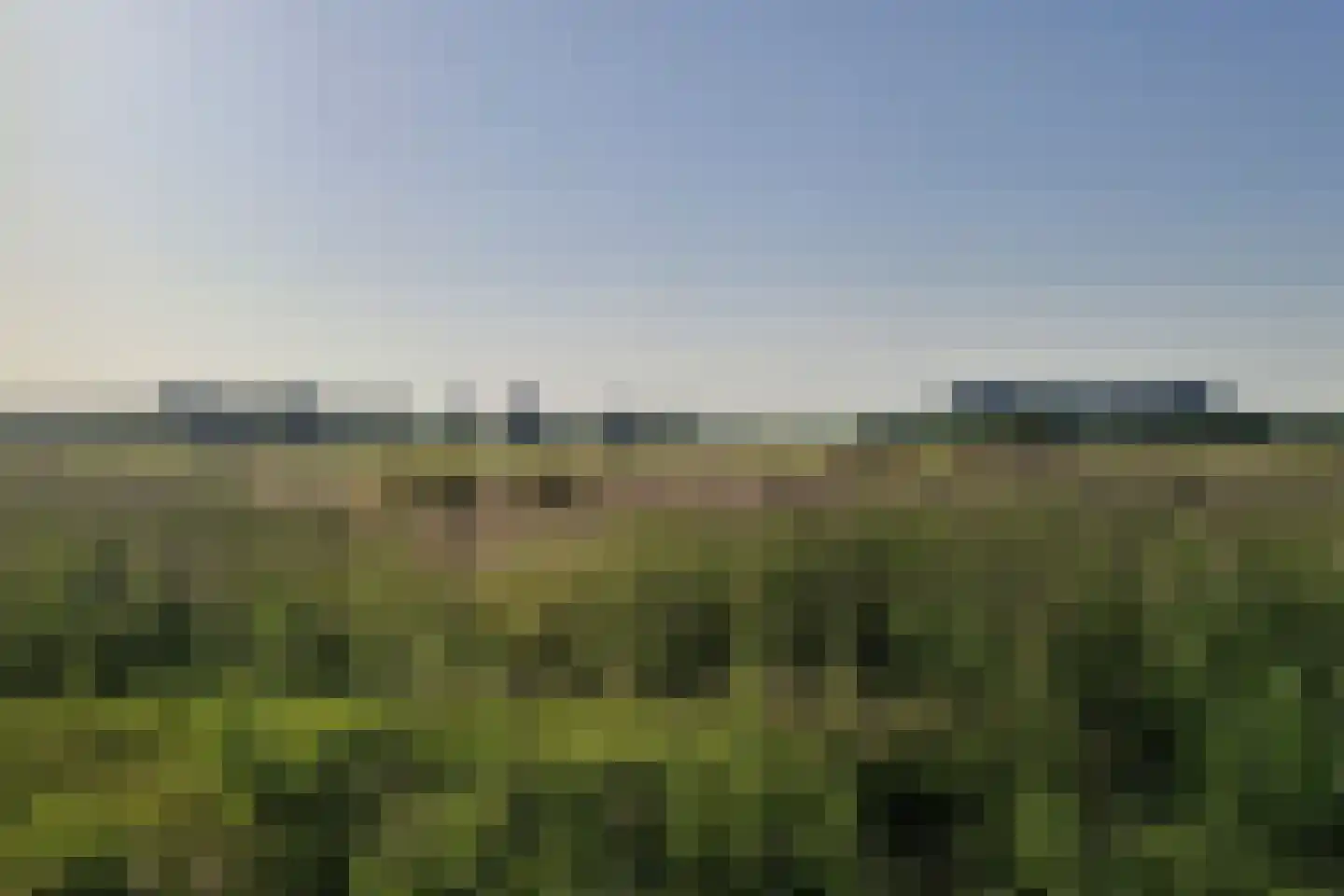 Raaigras 38 Assendelft thumbnail 52