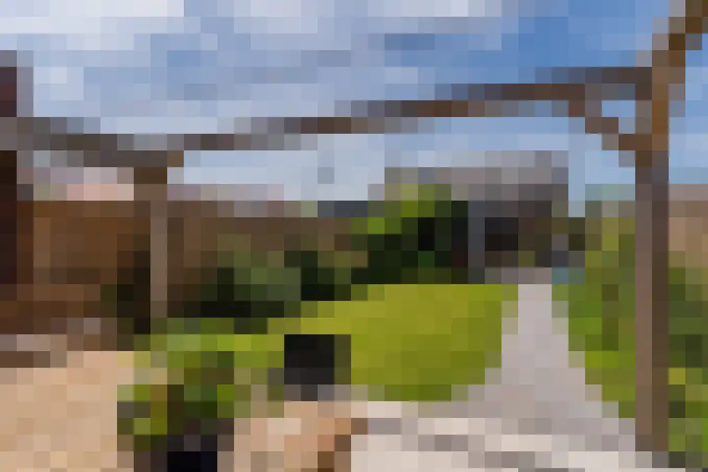 Raaigras 38 Assendelft thumbnail 6