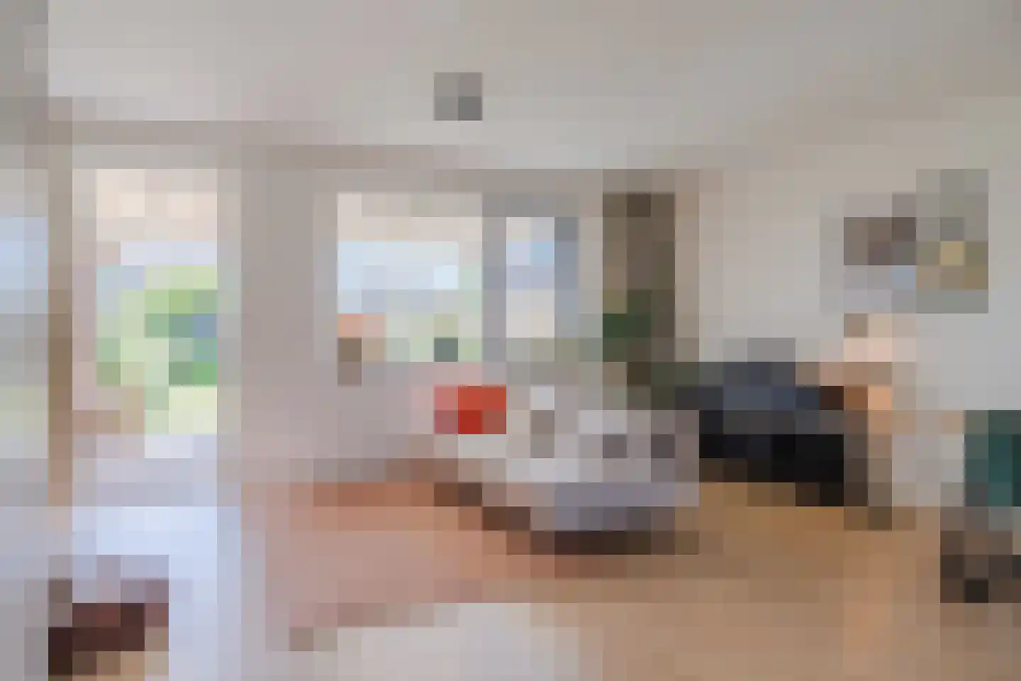 Raaigras 38 Assendelft thumbnail 8