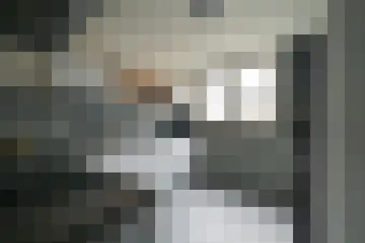 Raaigras 44 Wilnis thumbnail 13
