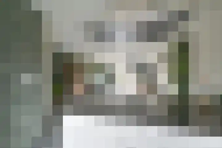 Raaigras 44 Wilnis thumbnail 17