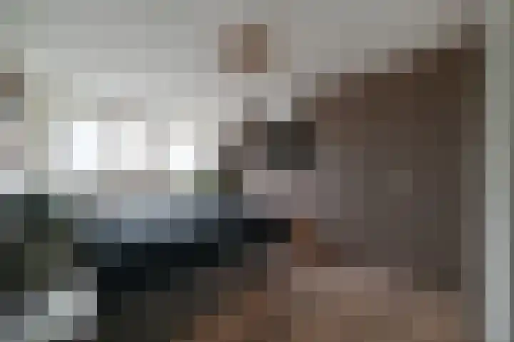 Raaigras 44 Wilnis thumbnail 19