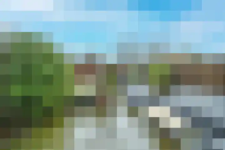 Raaigras 44 Wilnis thumbnail 28