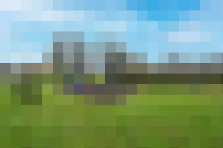 Raaigras 44 Wilnis thumbnail 38