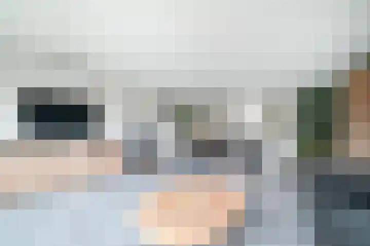 Raaigras 44 Wilnis thumbnail 5