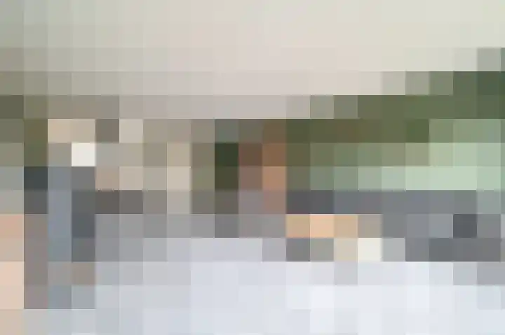 Raaigras 44 Wilnis thumbnail 7