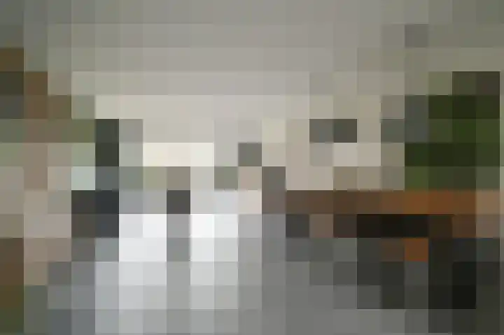 Raaigras 44 Wilnis thumbnail 9