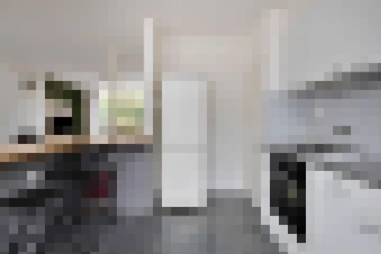 Raaigras 45 Rotterdam thumbnail 16