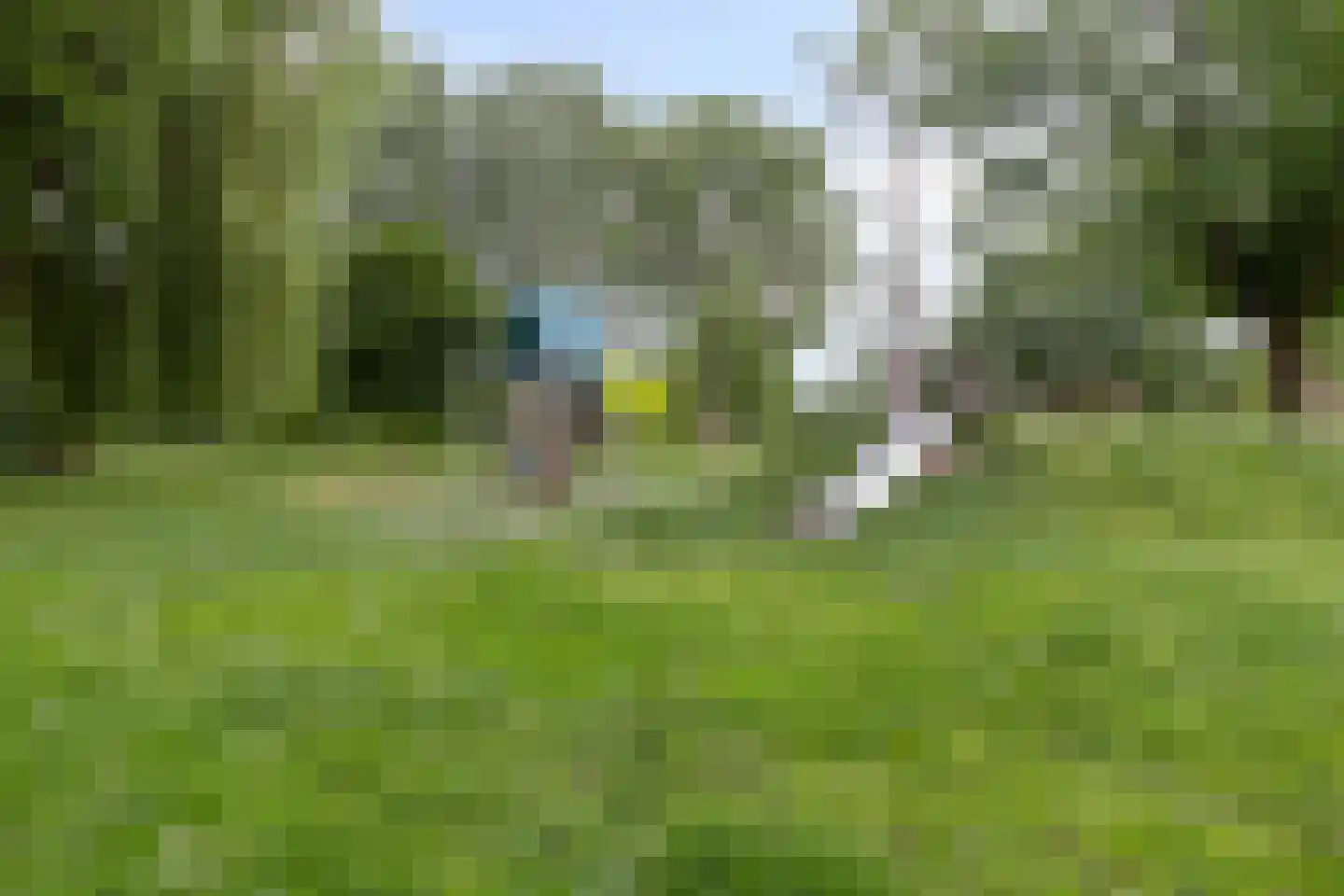 Raaigras 45 Rotterdam thumbnail 43