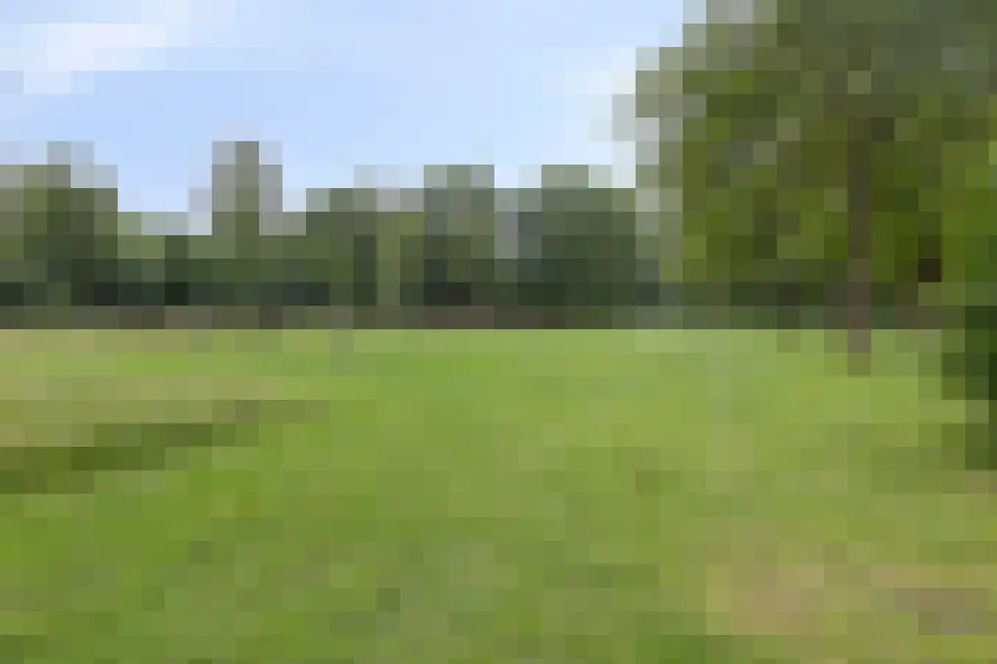 Raaigras 45 Rotterdam thumbnail 44