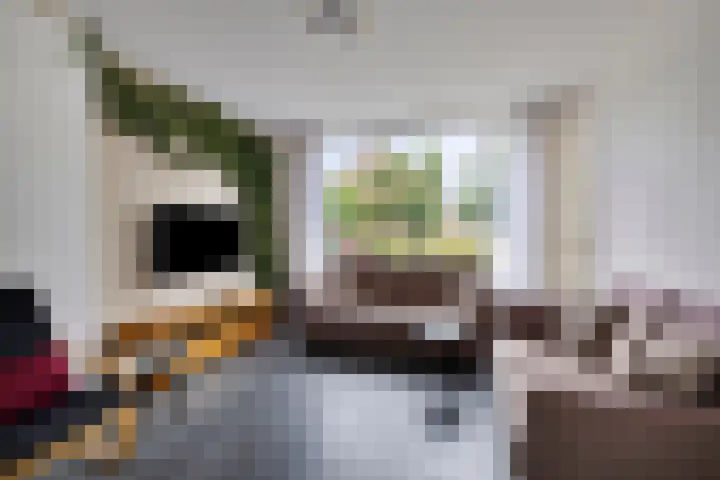 Raaigras 45 Rotterdam thumbnail 7